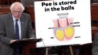 Area 51 Classified Images Proof Pee Is Stored In The Balls!!!